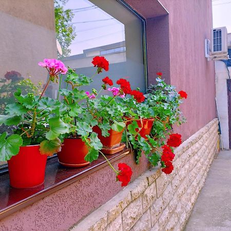 Luta Studio Bucarest Exterior foto